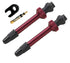 Barbieri - Alloy Tubeless Valve 45mm